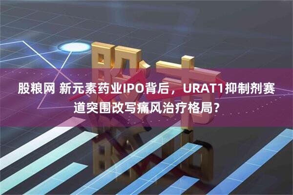 股粮网 新元素药业IPO背后，URAT1抑制剂赛道突围改写痛风治疗格局？