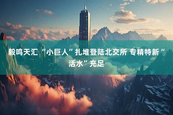 毅鸣天汇 “小巨人”扎堆登陆北交所 专精特新“活水”充足